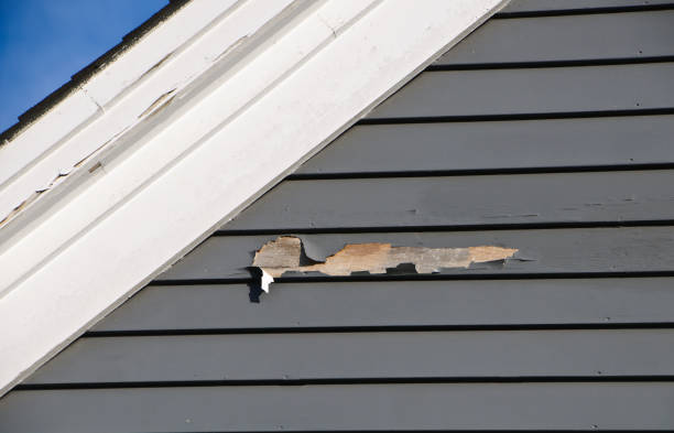 Best Property Management Cleanouts  in Moraga, CA